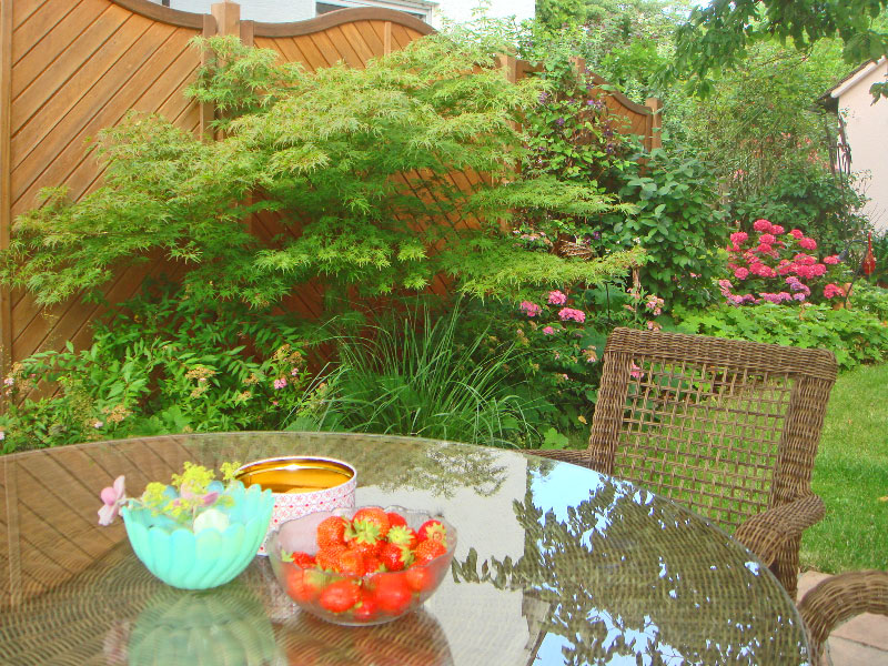 Gegenüber früher liebt die Eigentümerin es nun, im Garten zu sitzen und die grünende und blühende Atmosphäre zu genießen