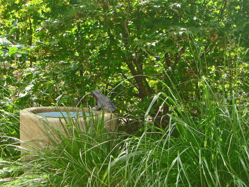 Unter einem japanischen Ahorn plätschert ein kleiner Brunnen; er ist gegenüber dem früheren Teich deutlich weniger pflegeaufwendig und bringt trotzdem viel Atmosphäre in den Garten.